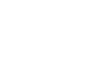Article Bazar Watermark White
