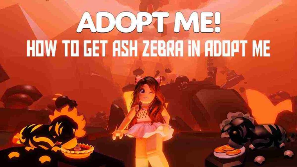 how to get ash zebra in adopt me