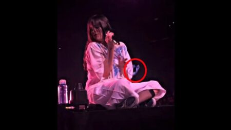 Billie Eilish Concert Disrupted by Fan's Necklace Throw